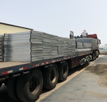 苗床發貨實拍 苗床發貨實拍